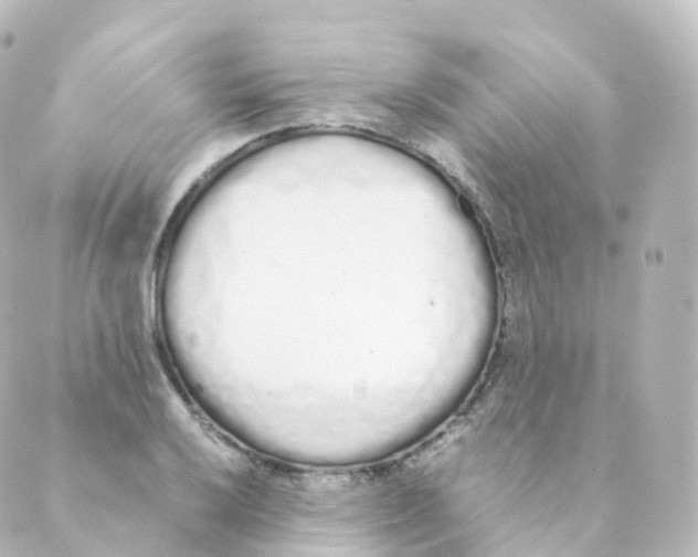 X0000088641032200706221540