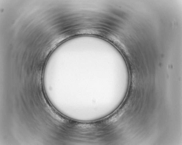 X0000088641033200706221540