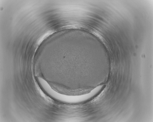 X0000088641034200706221540