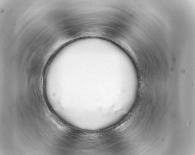 X0000088641035200706221540