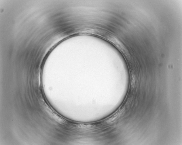 X0000088641036200706221541