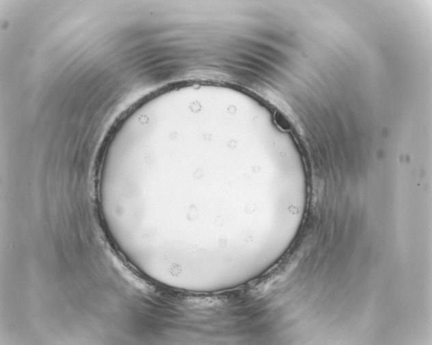 X0000088641037200706221541