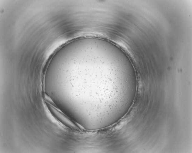 X0000088641038200706221541