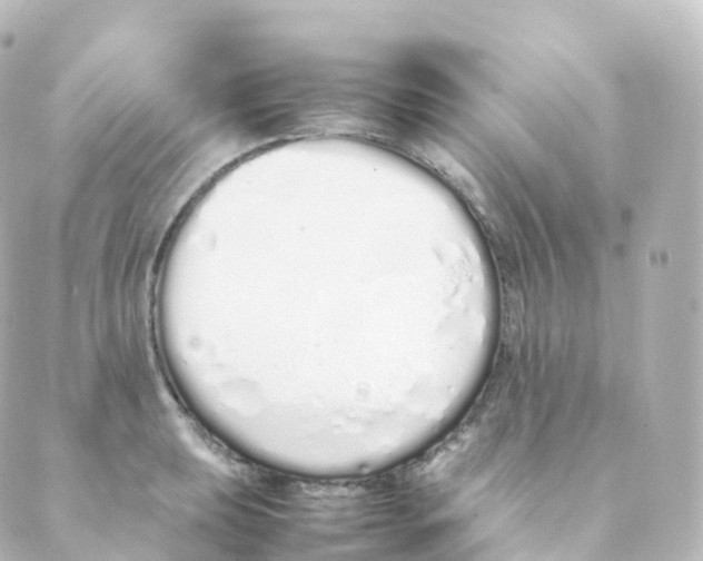 X0000088641039200706221541