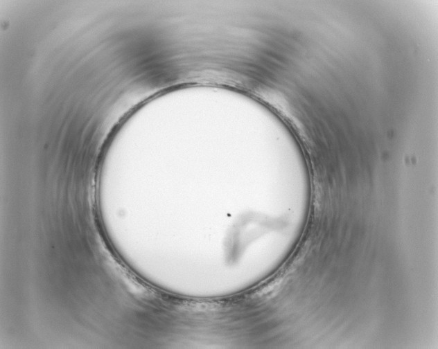 X0000088641040200706221541