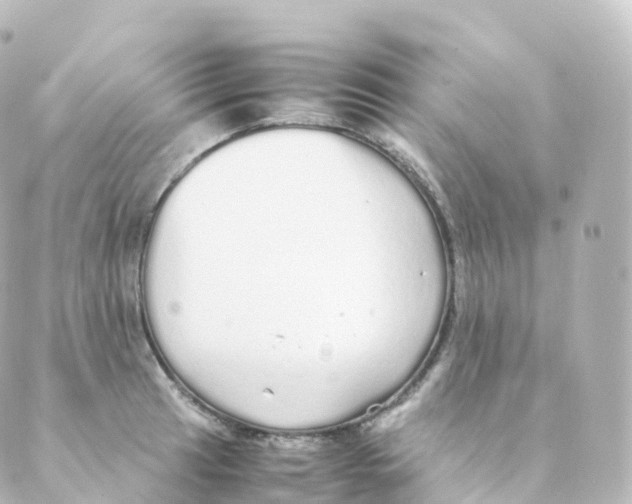 X0000088641041200706221541