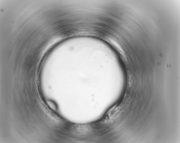 X0000088641043200706221541