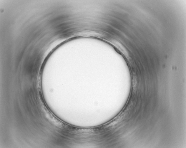 X0000088641044200706221541