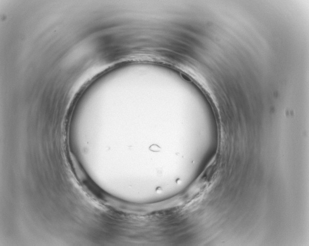 X0000088641045200706221541