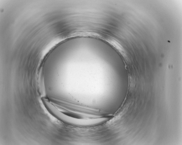 X0000088641046200706221541