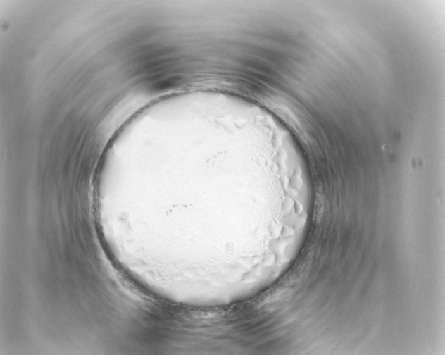 X0000088641047200706221541