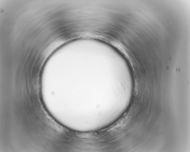 X0000088641048200706221541