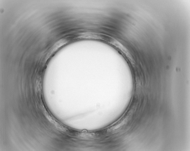 X0000088641049200706221541