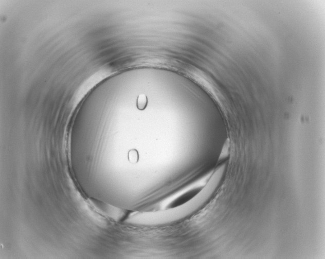 X0000088641050200706221541