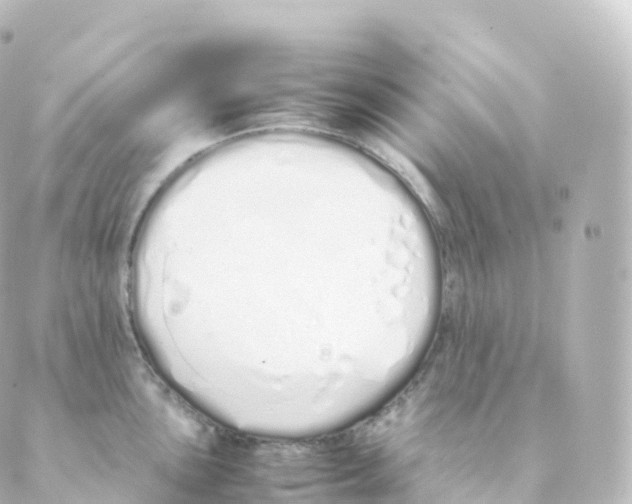 X0000088641051200706221541