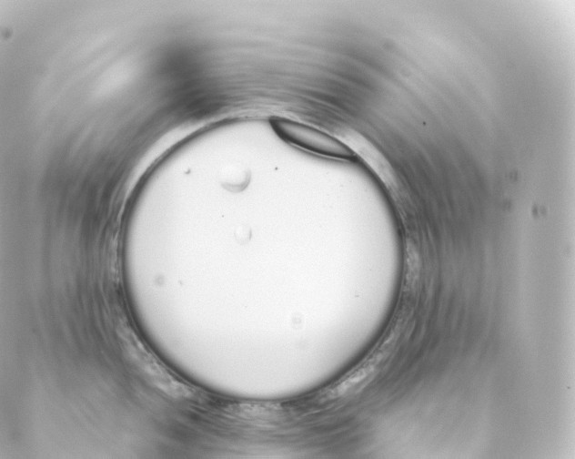 X0000088641052200706221541