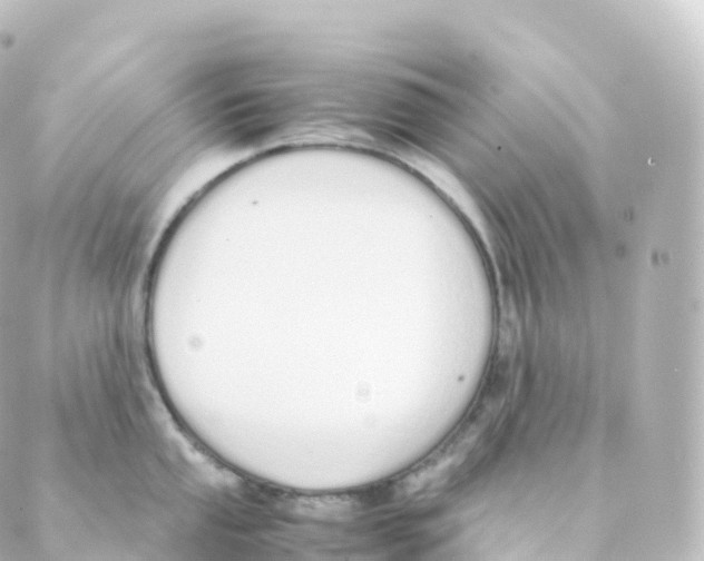 X0000088641053200706221541