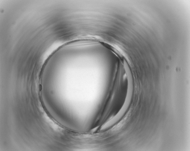 X0000088641054200706221541