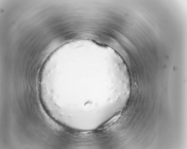 X0000088641055200706221541