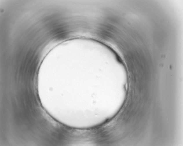 X0000088641056200706221541