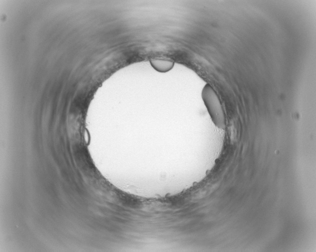 X0000088641059200706221540