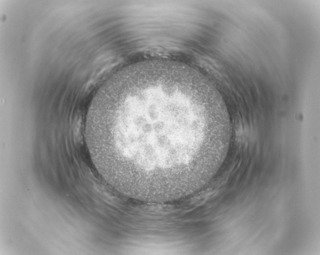 X0000088641060200706221540