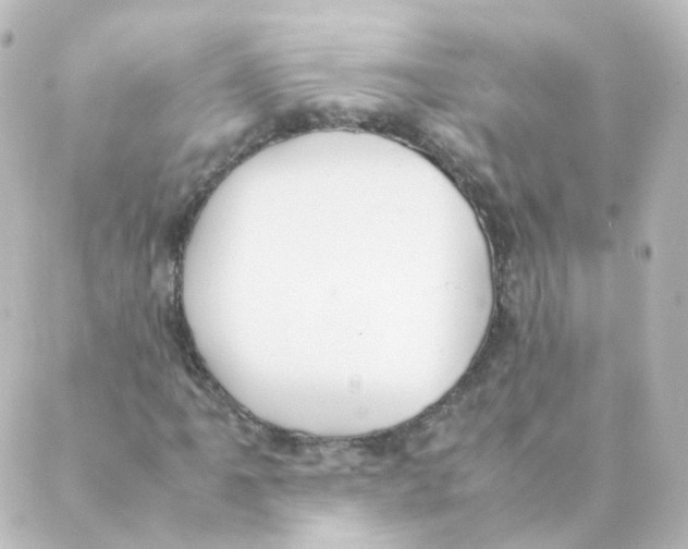 X0000088641061200706221540