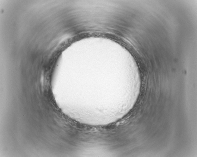 X0000088641063200706221540