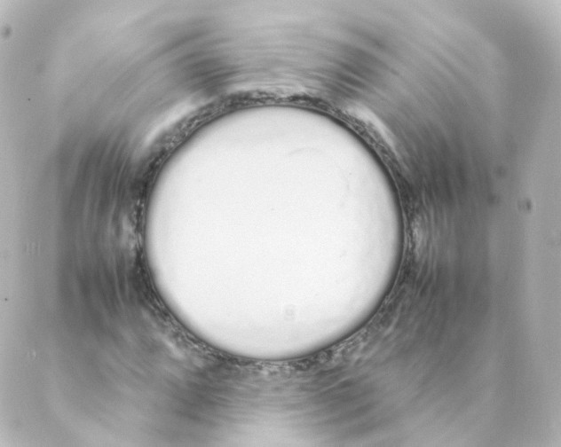 X0000088641064200706221540