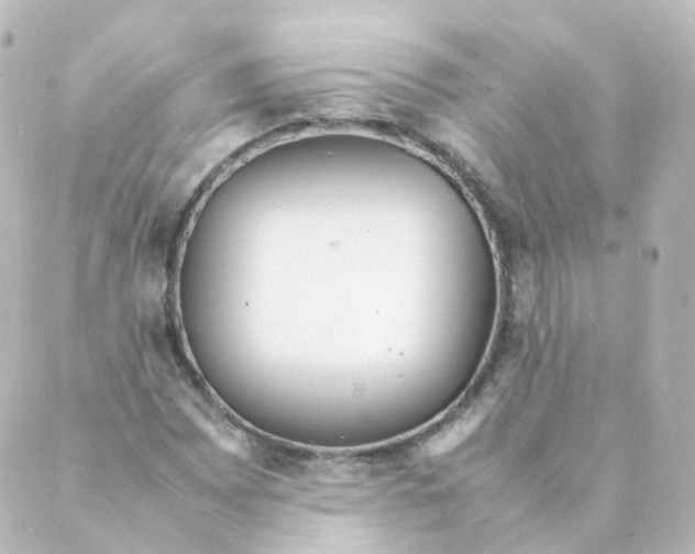 X0000088641065200706221540