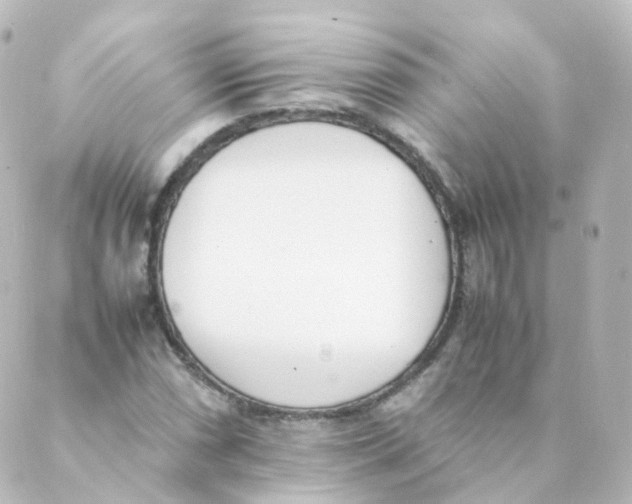 X0000088641066200706221540