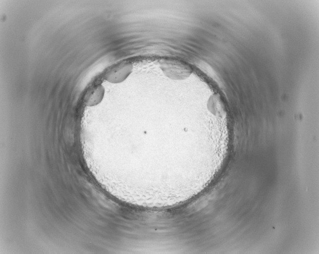 X0000088641067200706221540