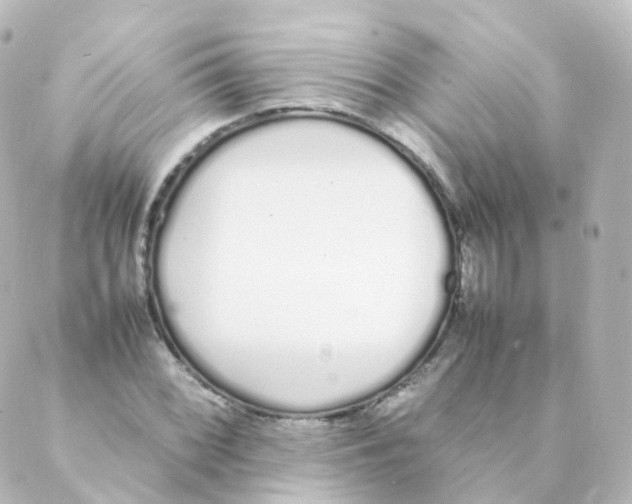 X0000088641068200706221540