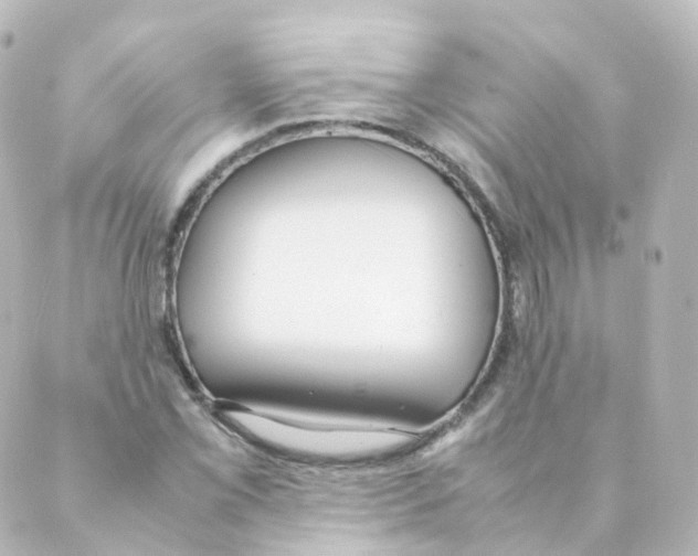 X0000088641069200706221540