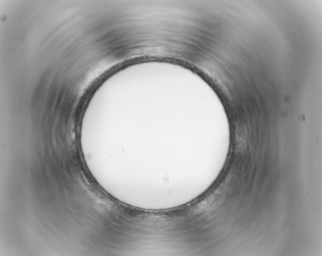 X0000088641070200706221540