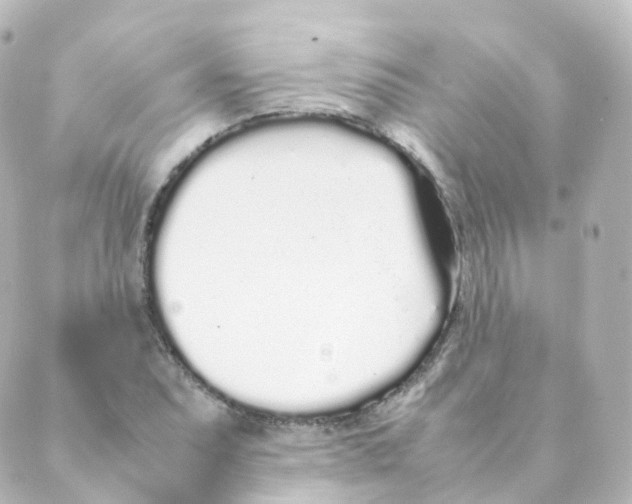 X0000088641071200706221540