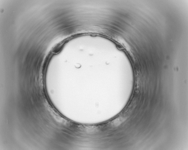 X0000088641072200706221540