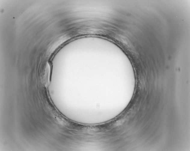 X0000088641073200706221540