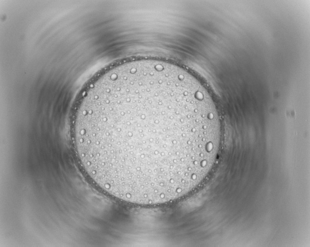 X0000088641074200706221540