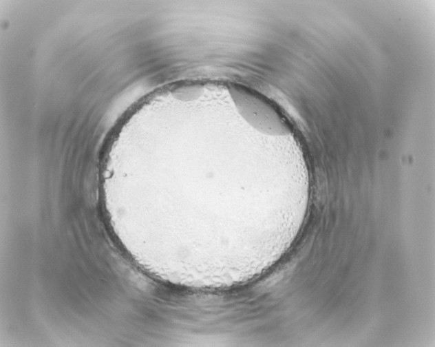 X0000088641075200706221540