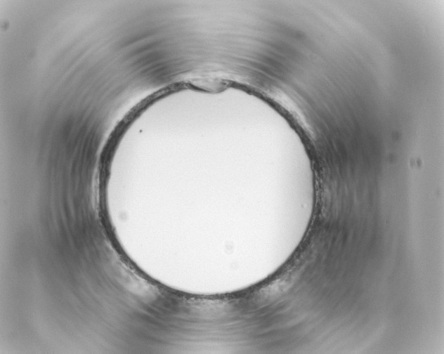 X0000088641076200706221540