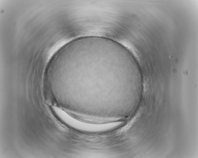 X0000088641077200706221540