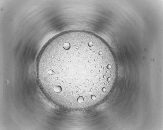 X0000088641078200706221540