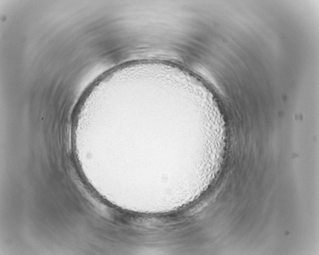 X0000088641079200706221540