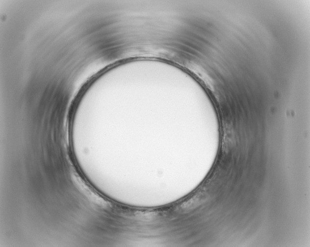 X0000088641080200706221540