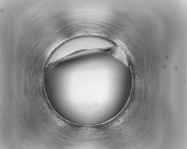 X0000088641081200706221540