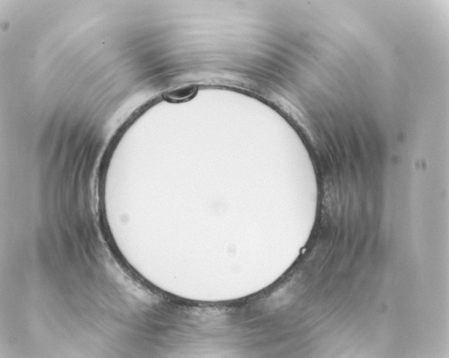 X0000088641082200706221540