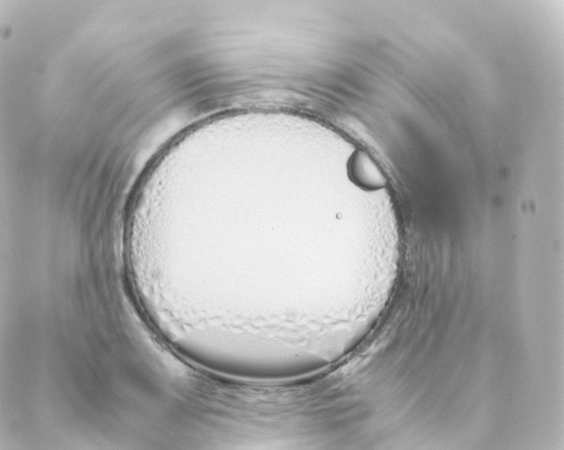 X0000088641083200706221540