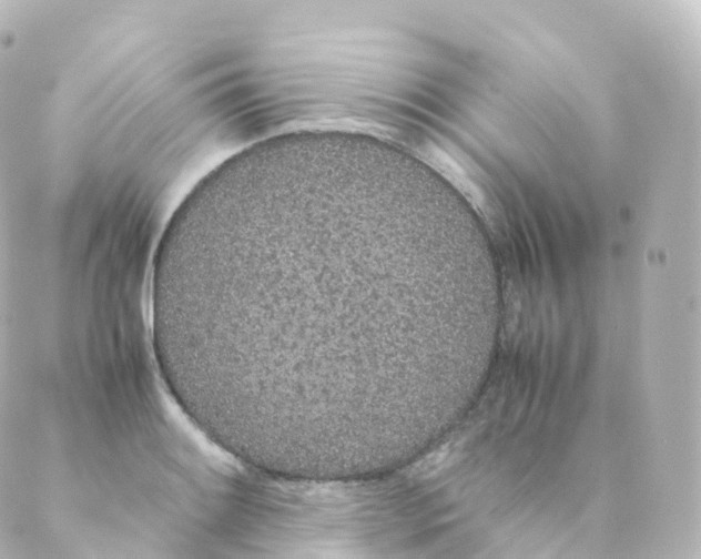 X0000088641084200706221540