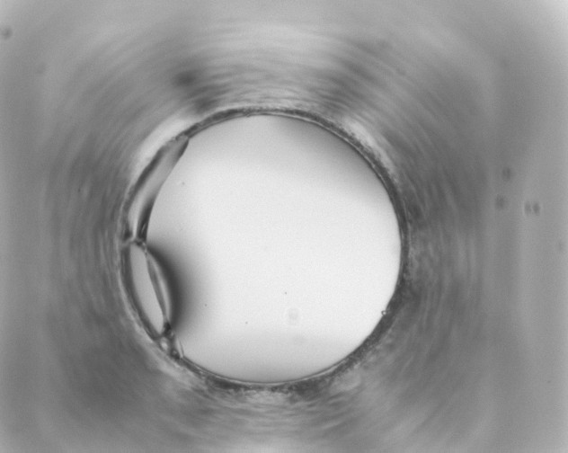 X0000088641085200706221540